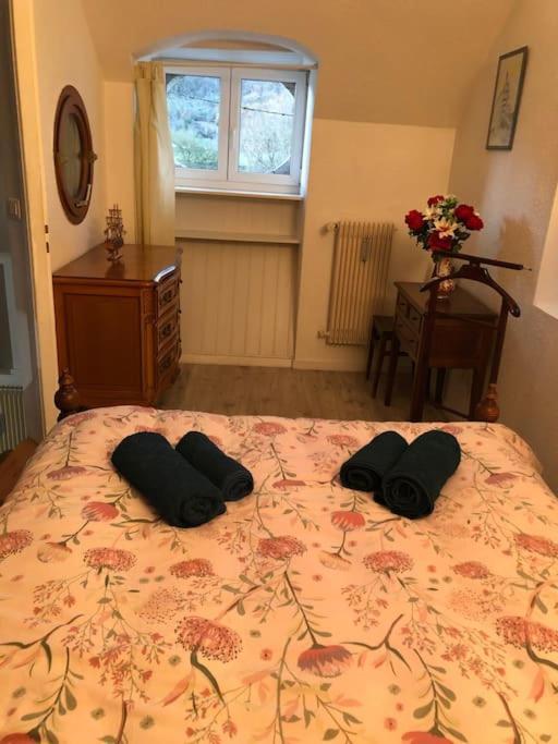 Appartement Rdc Dans Jolie Parc Arbore Beure Exterior photo